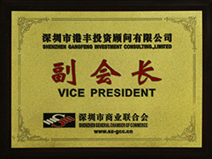 深圳市商业联合会副会长